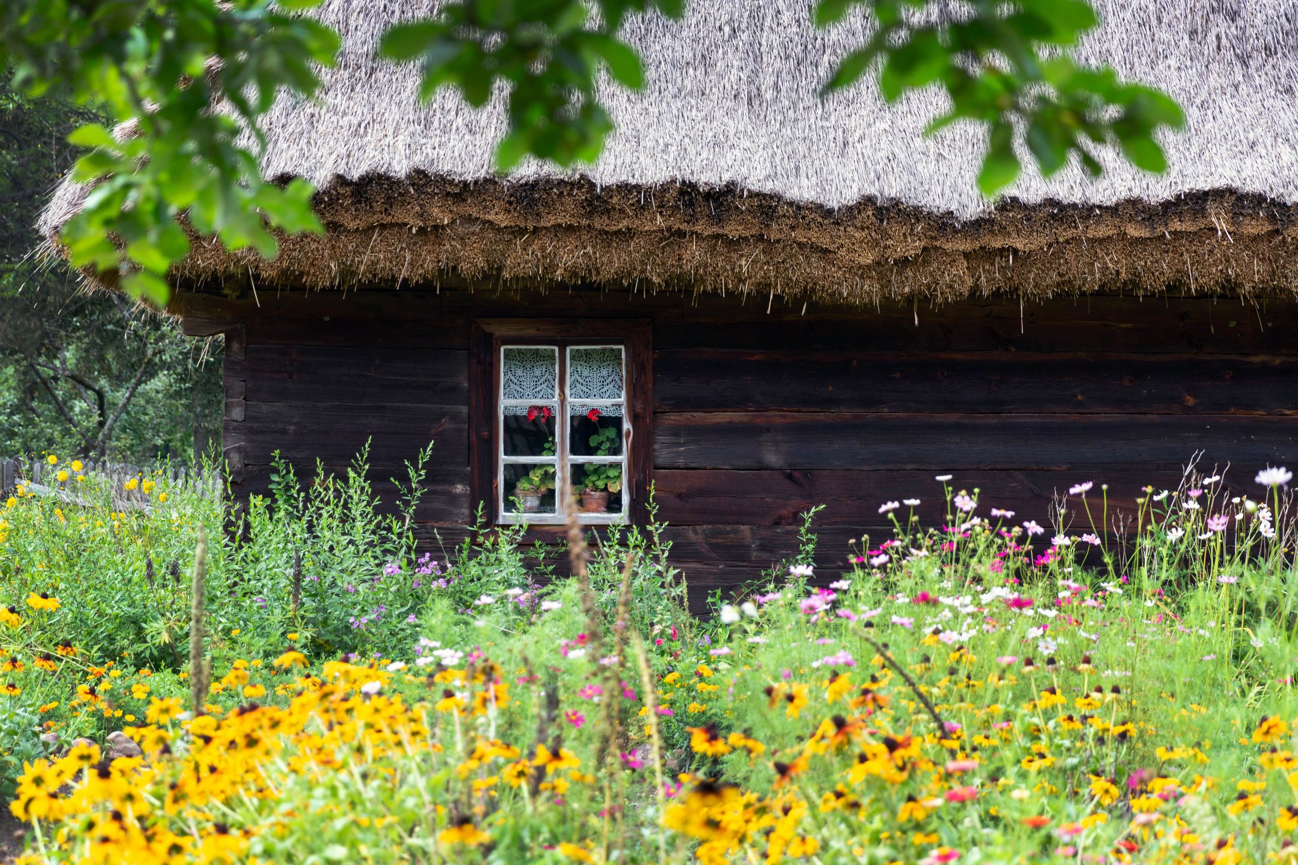 Planting Flowers in Your Garden